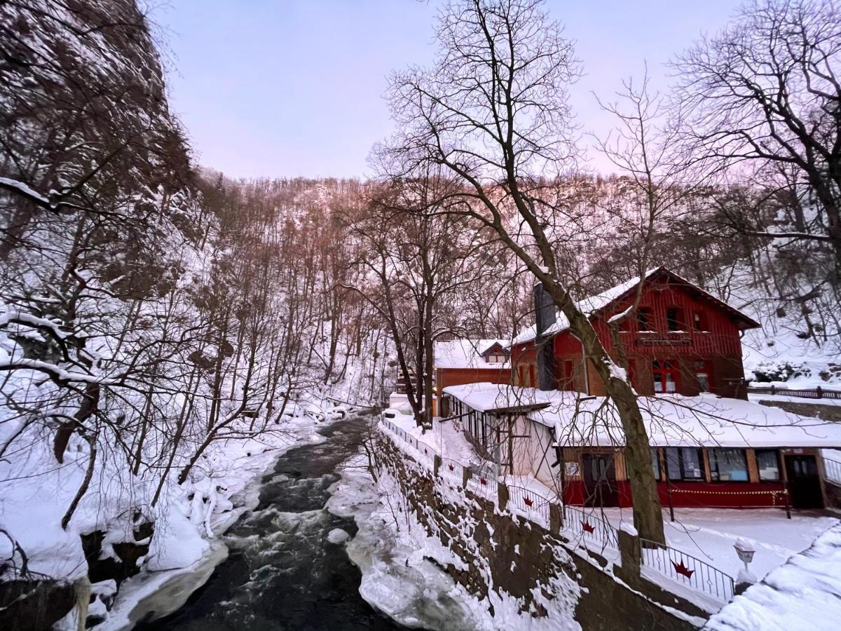 فندق Gasthaus Koenigsruhe ثال المظهر الخارجي الصورة